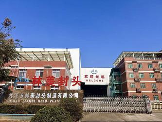 ÇIN Wuhan Linmei Head Plate Co., Ltd.
