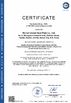 ÇIN Wuhan Linmei Head Plate Co., Ltd. Sertifikalar